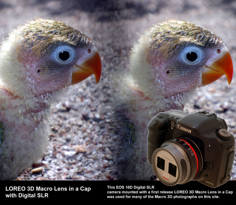 LOREO 3D Macro Lens in a Cap - with camera