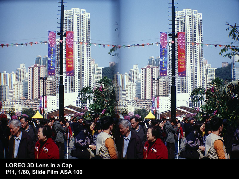 People at a Flower Show